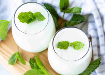 Ayran (Turkish Yogurt Drink)