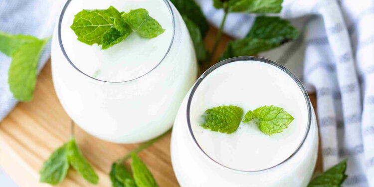 Ayran (Turkish Yogurt Drink)