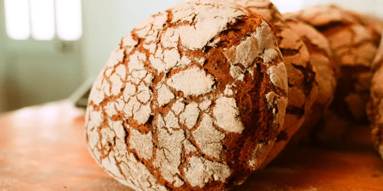 Pão de Centeio Transmontano (Trás-os-Montes Rye Bread)